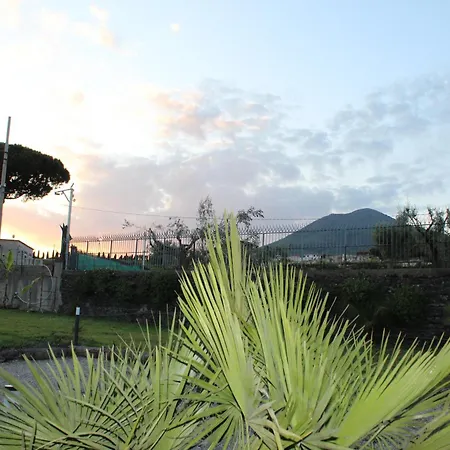 Cola - Vesuvio Garden & Relax Boscotrecase